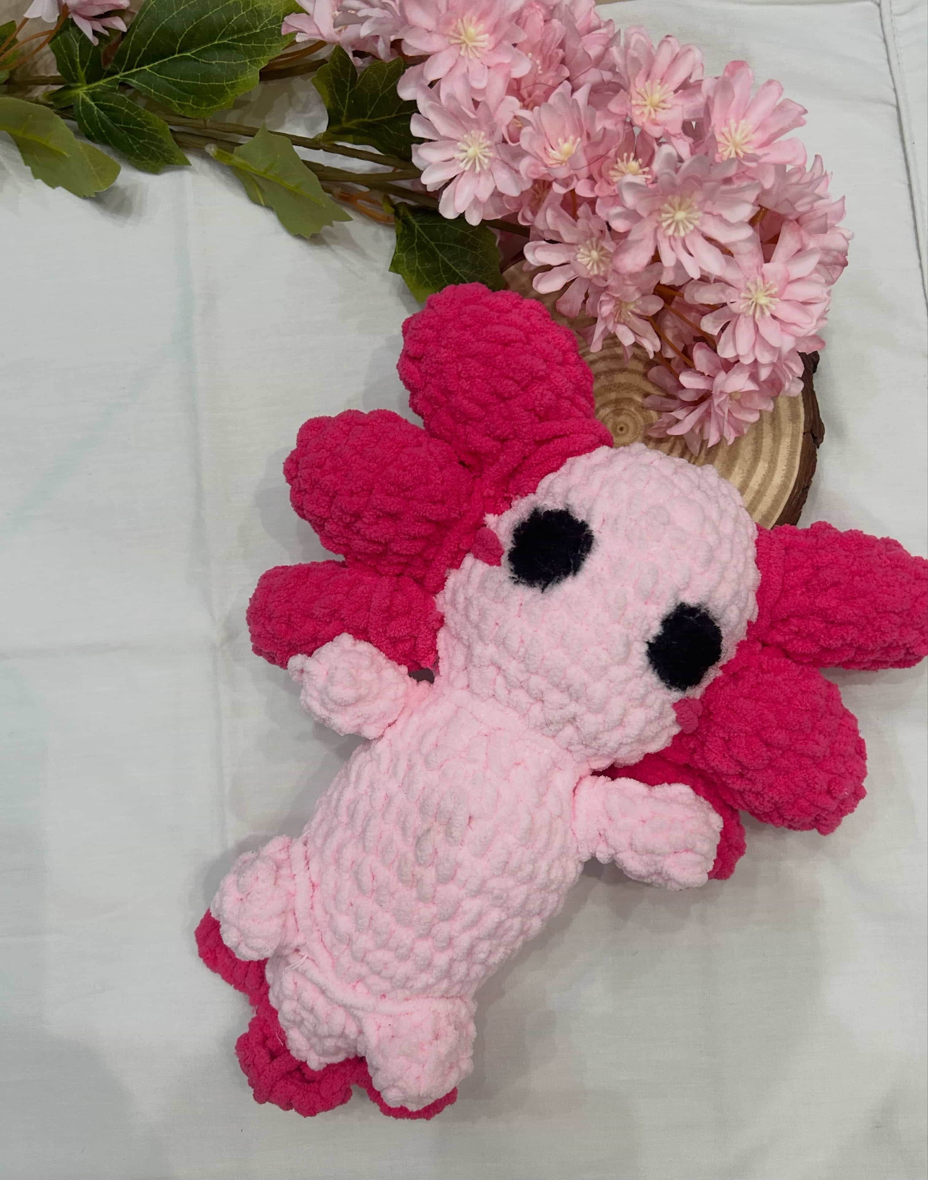 Axolotl rosa – fotografia 1 di 3